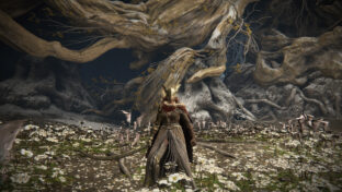 how to get to malenia elden ring, header